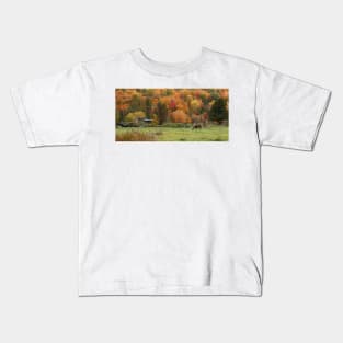 Fall Horse, Lake Ste-Marie, Quebec Kids T-Shirt